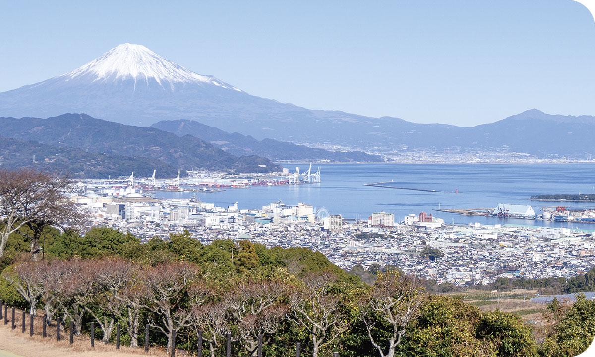 この地域の実情にあった地方活性化を提案します